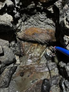 Découverte du platelage en bois