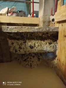 Découverte du pieu et de son massif en tête dans le cadre de la fouille